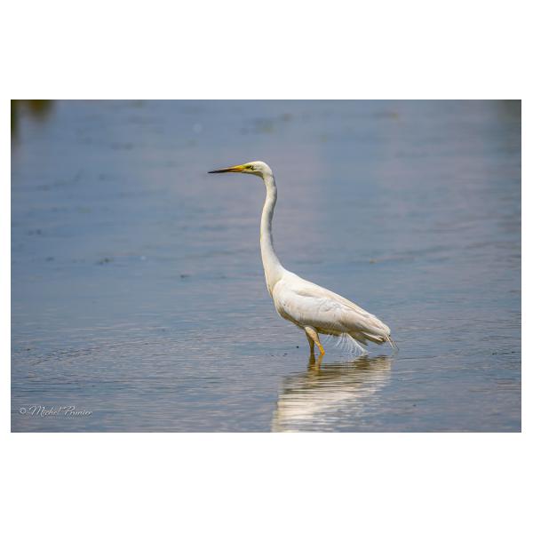 PHOTO84, CLUB, 84 , LUBERON